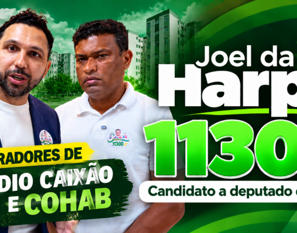 securitario Joel da Harpa 11300